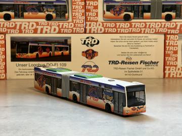 MB Citaro C2 G TRD Ziel E- Stadion (Signal Iduna Park
